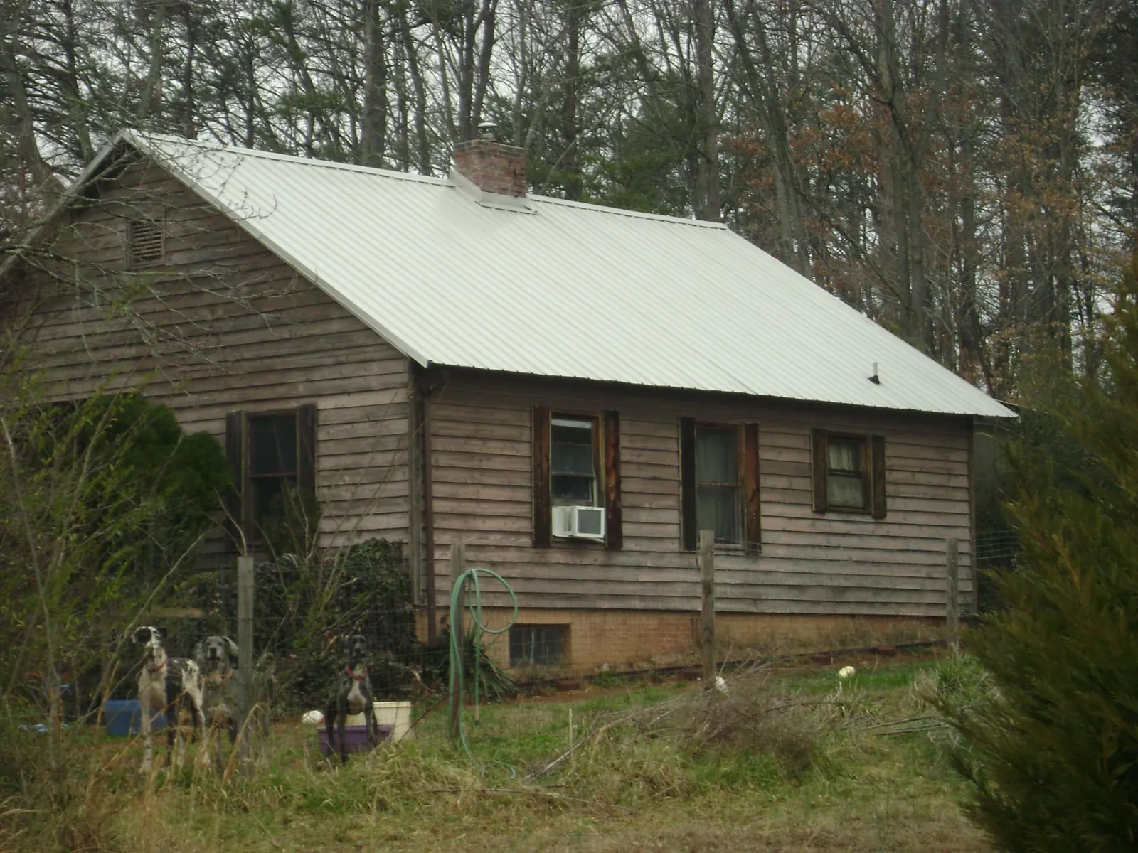 White metal roof on an old wood sided farmhouse, from a Asphalt Shingle Roof Repair job in Nezperce